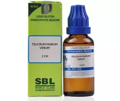 Buy SBL Teucrium Marum Verum - 30 ml